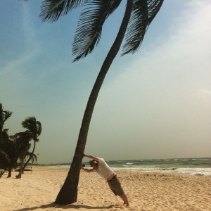George holding up a palm tree on a sandy beach
